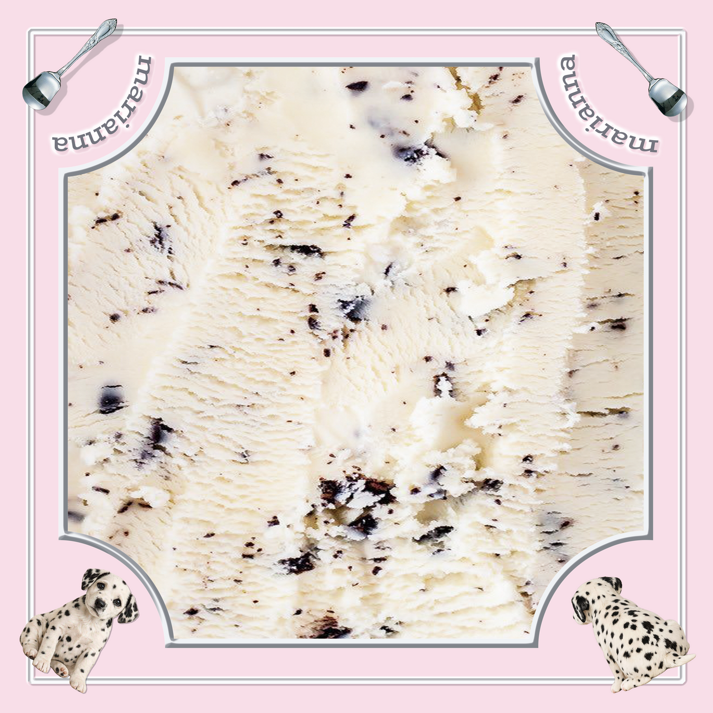 Ice Cream Pop Scarf Parlor / Double Chip and Cream